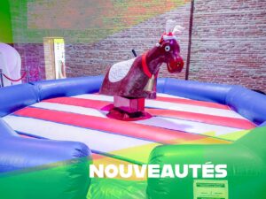 id2 loisirs propose une multitude de nouveautés en matière de jeux et activités pour les petits, les enfants, les adultes, pour un salon, un fête de famille, un anniversaire, un événement sportif, une journée de teambuilding