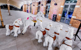 droles-de-betes-loisirs-roulants-jeu-enfants-adultes-Toulouse-Montauban-Auch-Castres-Carcassonne-Albi-id2loisirs-26022026-2