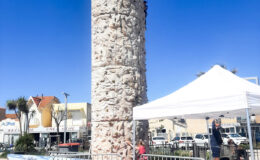 Le mur escalade mobile est une animation idéale pour mettre en valeur votre évènement et vos animations. C’est une animation originale, ludique et également tout public. Tout le monde le remarque grâce à son visuel et sa hauteur.