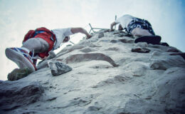 Le mur escalade mobile est une animation idéale pour mettre en valeur votre évènement et vos animations. C’est une animation originale, ludique et également tout public. Tout le monde le remarque grâce à son visuel et sa hauteur.