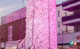 Le mur escalade mobile est une animation idéale pour mettre en valeur votre évènement et vos animations. C’est une animation originale, ludique et également tout public. Tout le monde le remarque grâce à son visuel et sa hauteur.