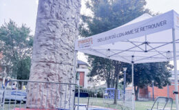 Le mur escalade mobile est une animation idéale pour mettre en valeur votre évènement et vos animations. C’est une animation originale, ludique et également tout public. Tout le monde le remarque grâce à son visuel et sa hauteur.