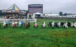 id2loisirs propose le sulky à pédales en location pour les enfants, pour les événements privés, publics ou professionnels