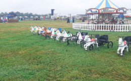 id2loisirs propose le sulky à pédales en location pour les enfants, pour les événements privés, publics ou professionnels