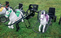 id2loisirs propose le sulky à pédales en location pour les enfants, pour les événements privés, publics ou professionnels