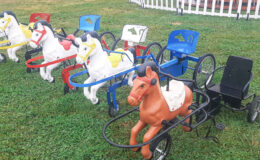 id2loisirs propose le sulky à pédales en location pour les enfants, pour les événements privés, publics ou professionnels