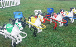 id2loisirs propose le sulky à pédales en location pour les enfants, pour les événements privés, publics ou professionnels