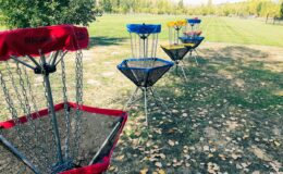 disc golf jeu challenge id2loisirs