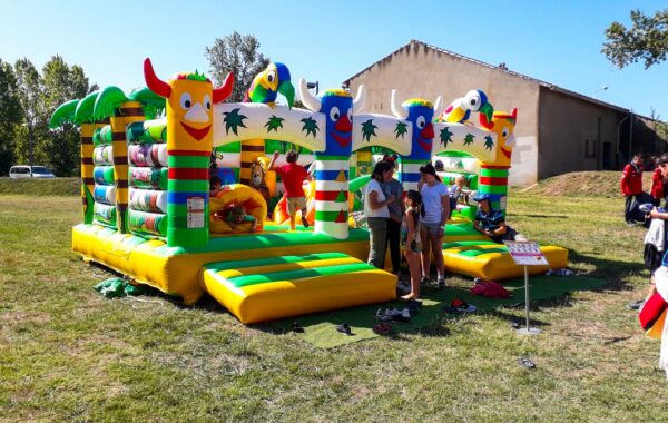 Complexe jungle gonflable