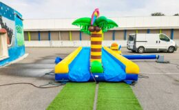 ventriglisse duo palmiers gonflable gonflable jeux gonflables enfants ados et adultes id2loisirs