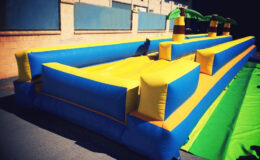 location du ventriglise Palmiers double pistes, jeu d’eau gonflable pour enfants et adultes sur Toulouse et toute la France proposé par id2loisirs