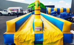 location du ventriglise Palmiers double pistes, jeu d’eau gonflable pour enfants et adultes sur Toulouse et toute la France proposé par id2loisirs