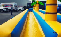 location du ventriglise Palmiers double pistes, jeu d’eau gonflable pour enfants et adultes sur Toulouse et toute la France proposé par id2loisirs