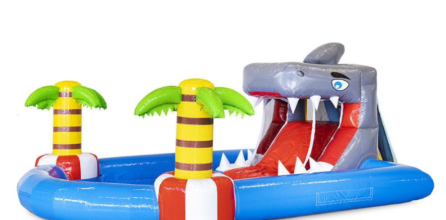 Mini parc requin