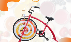 Activité confiserie vélo smoothies