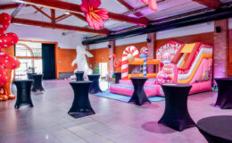 chateau-candy-activite-jeu-gonflable-enfant-enfants-id2loisirs-Toulouse-Montauban-Auch-Castres-France-Occitanie-2