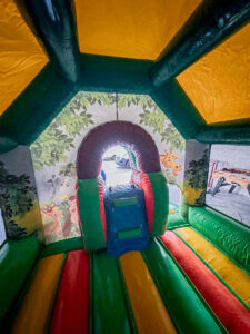 Environnement aux couleurs de safari ! En location pour les petits et les enfants sur Toulouse, Castres, Montauban, Auch et toute la France