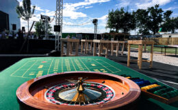 id2loisirs-Toulouse-Montauban-Auch-Castres-Carcassonne-Albi-10