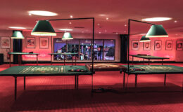 id2loisirs-Toulouse-Montauban-Auch-Castres-Carcassonne-Albi-6