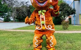 id2loisirs-Toulouse-Montauban-Auch-Castres-Carcassonne-Albi-03022026-11