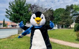 id2loisirs-Toulouse-Montauban-Auch-Castres-Carcassonne-Albi-03022026-15