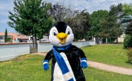 id2loisirs-Toulouse-Montauban-Auch-Castres-Carcassonne-Albi-03022026-16