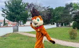 id2loisirs-Toulouse-Montauban-Auch-Castres-Carcassonne-Albi-03022026-17