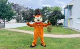 id2loisirs-Toulouse-Montauban-Auch-Castres-Carcassonne-Albi-03022026-18