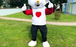 id2loisirs-Toulouse-Montauban-Auch-Castres-Carcassonne-Albi-03022026-3