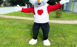 id2loisirs-Toulouse-Montauban-Auch-Castres-Carcassonne-Albi-03022026-4