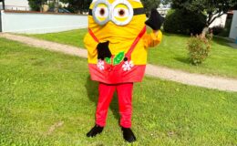 id2loisirs-Toulouse-Montauban-Auch-Castres-Carcassonne-Albi-03022026-8