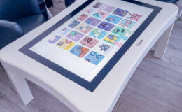 id2loisirs-Toulouse-Montauban-Auch-Castres-Carcassonne-Albi-10022026-10