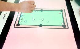 id2loisirs-Toulouse-Montauban-Auch-Castres-Carcassonne-Albi-10022026-4