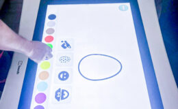 id2loisirs-Toulouse-Montauban-Auch-Castres-Carcassonne-Albi-10022026-9